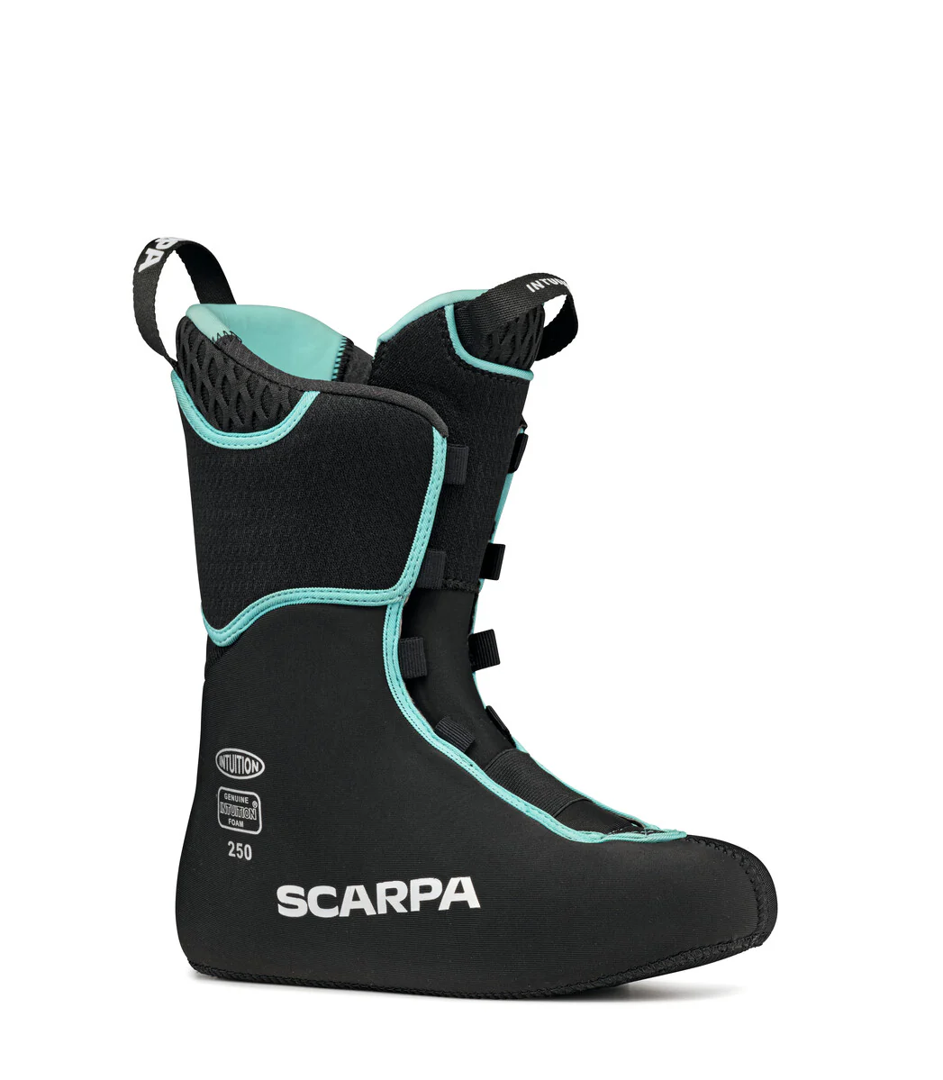 GEA (FALL 2021) - Image 8