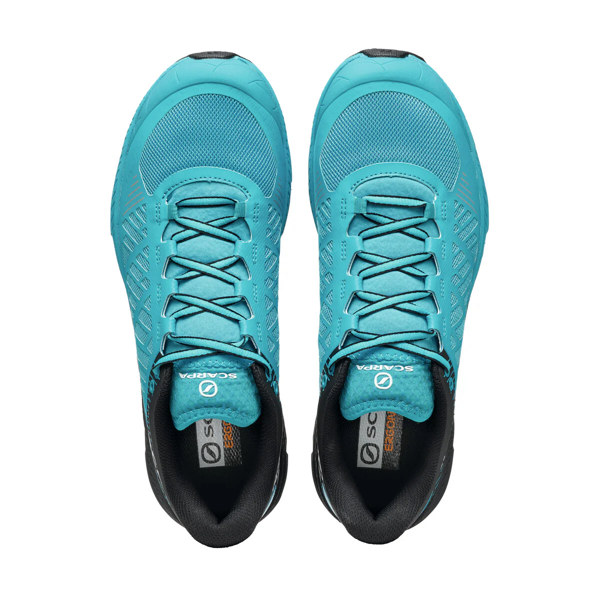 SPIN ULTRA MEN'S (FALL 2024) - Image 6