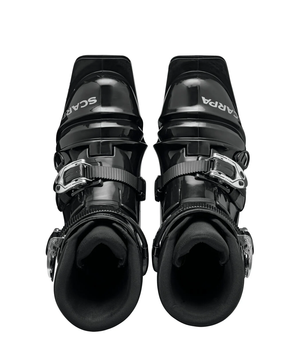 T4 - Image 6