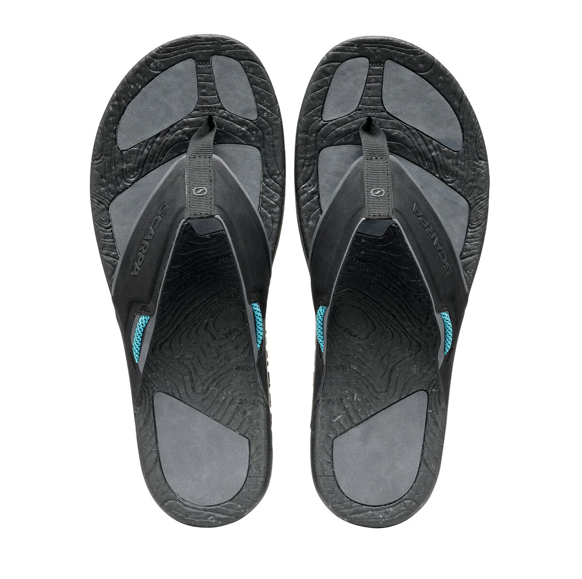TEGU - Image 5
