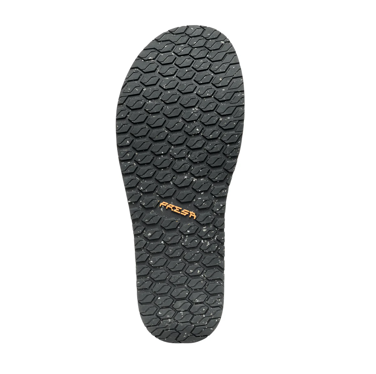 TEGU - Image 6