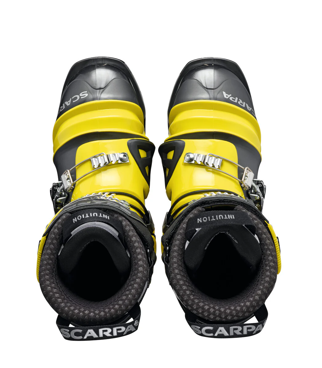 TX COMP (SPRING 2024) - Image 6